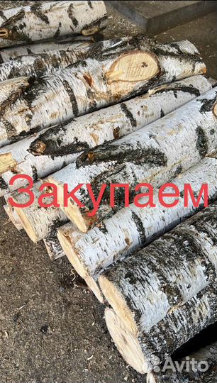 Дрова береза