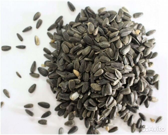 Семена подсолнечника
