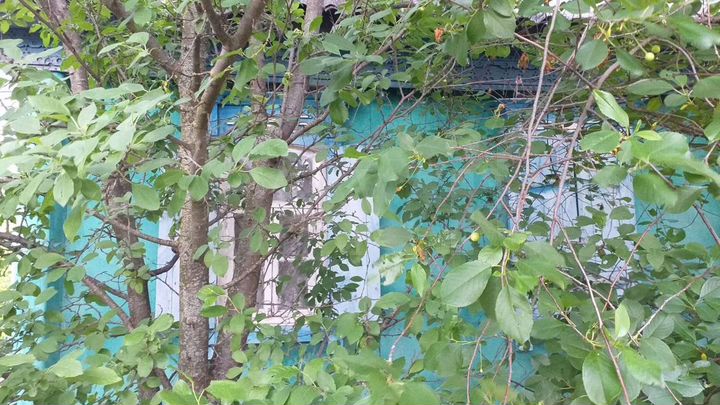 Дом 25 м² на участке 13 сот.