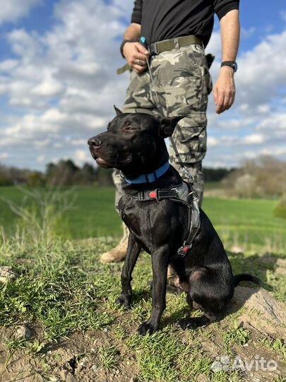 Сигурда выгоняют на улицу