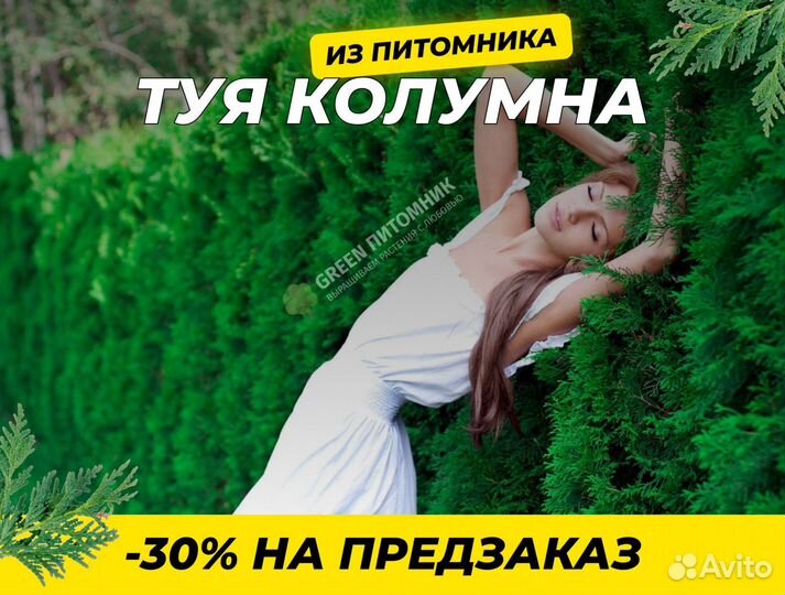 Туя западная Смарагд