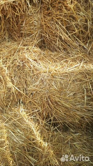 Сено в тюках