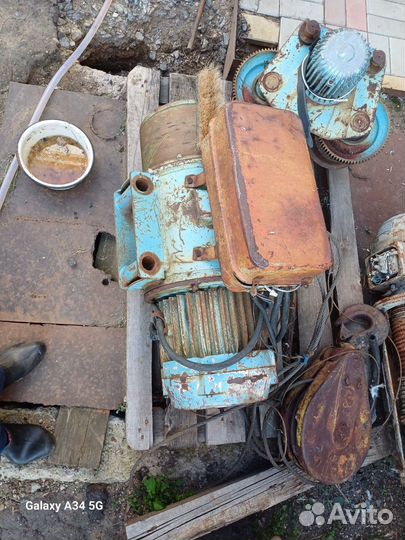 Тельфер болгарский