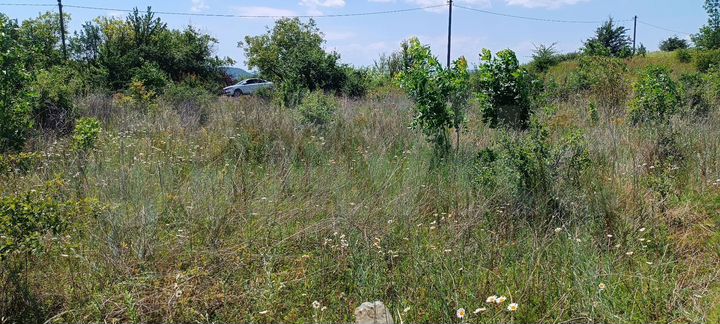 Участок 15 сот. (ИЖС)