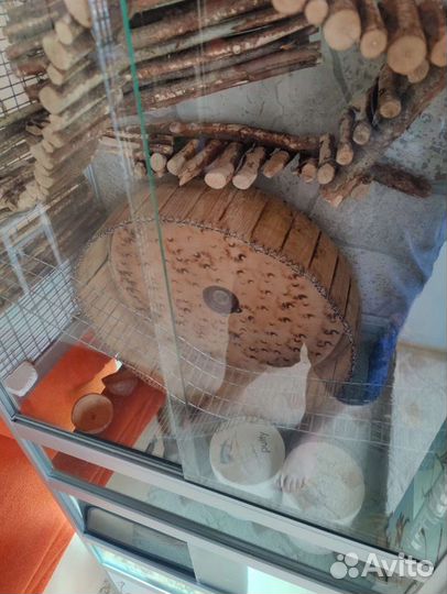 Клетка для грызунов. Б/у