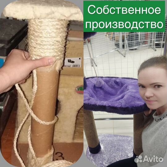 Когтеточка для кошки