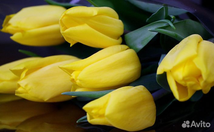 Тюльпаны букет опт