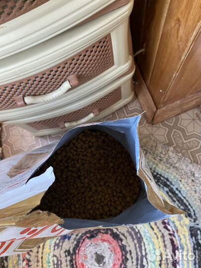 Суой корм Royal Canin для Йоркшерских терьеров