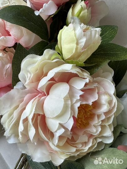 Пионы италия