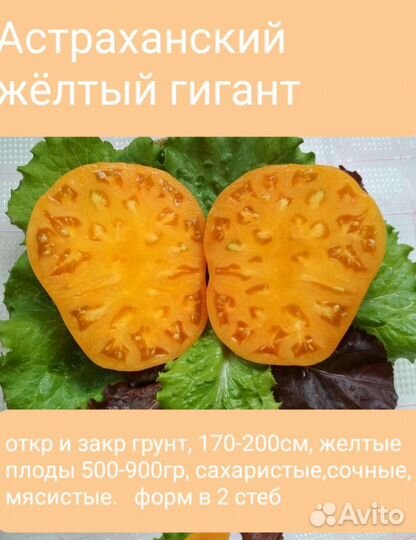 Семена коллекционных помидор