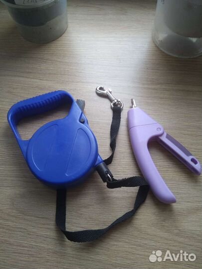 Одежда, поводок, когтерезка для собаки