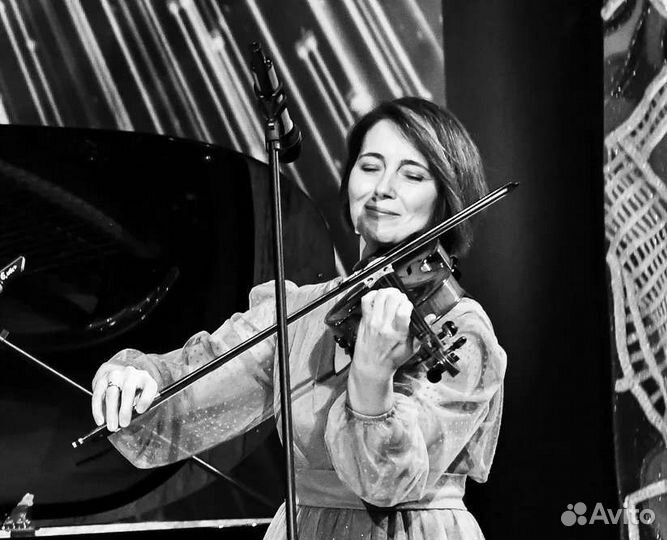 Скрипка Барнаул Горный Алтай