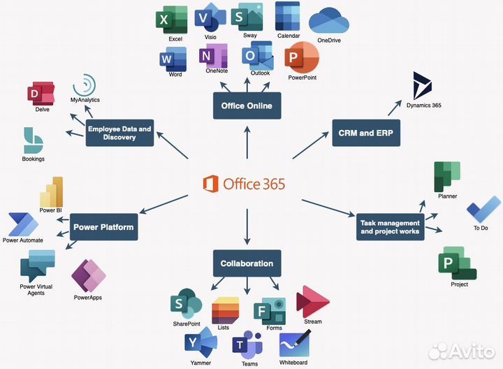 Лицензия Office 365