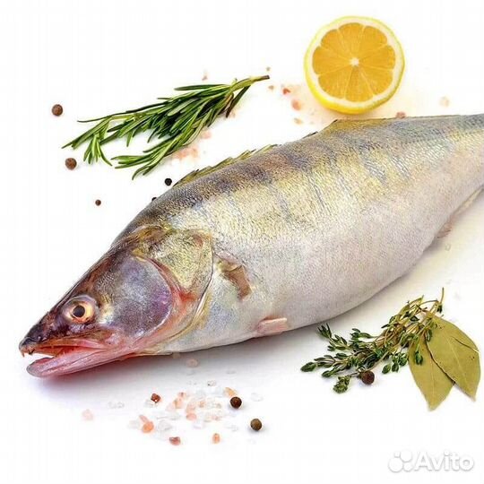 Рыба Судак свежемороженый РФ