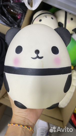 Сквиши новые