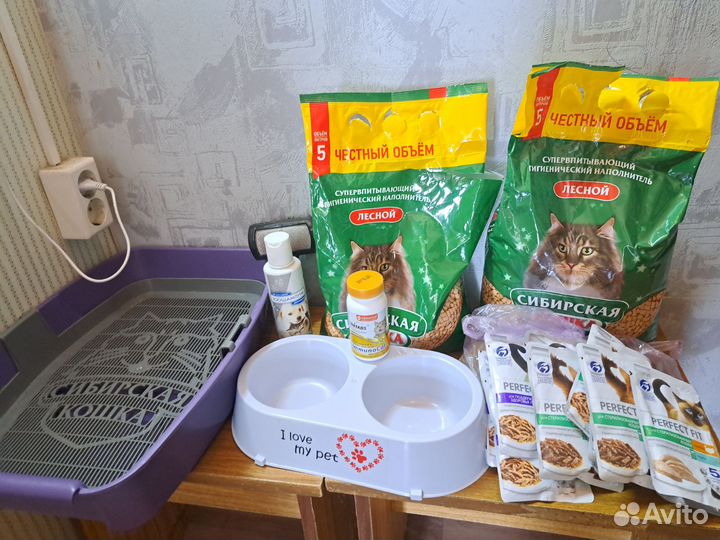 Все для котов