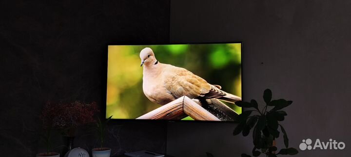 Телевизор samsung 50