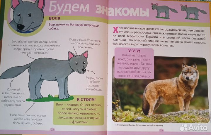 Полная серия 