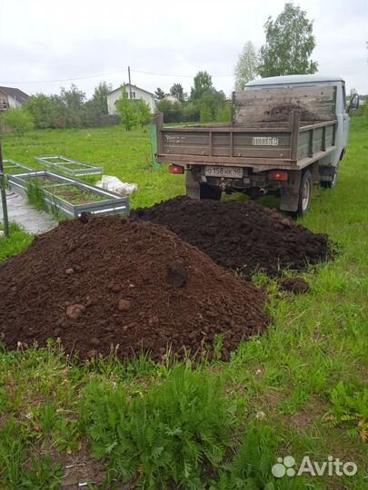 Грунт для газона