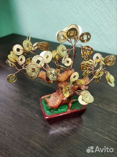 Денежное дерево