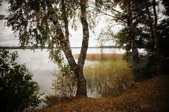 Дом 65 м² на участке 17 сот.