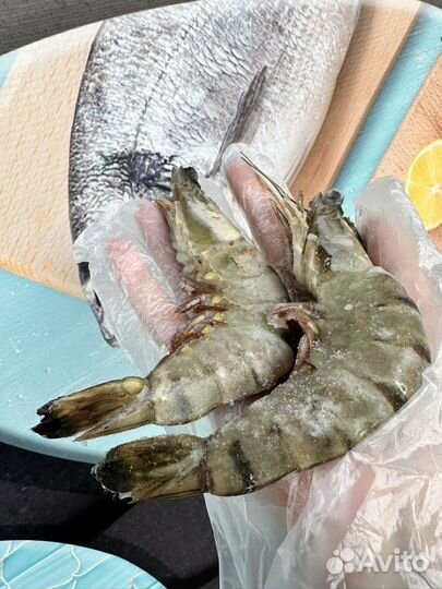 Гребешок на створке Крупный