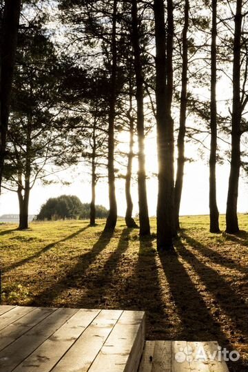 Аренда беседки