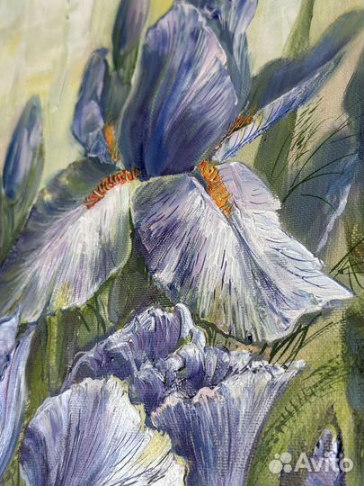 Картина маслом на холсте «Ирисы»