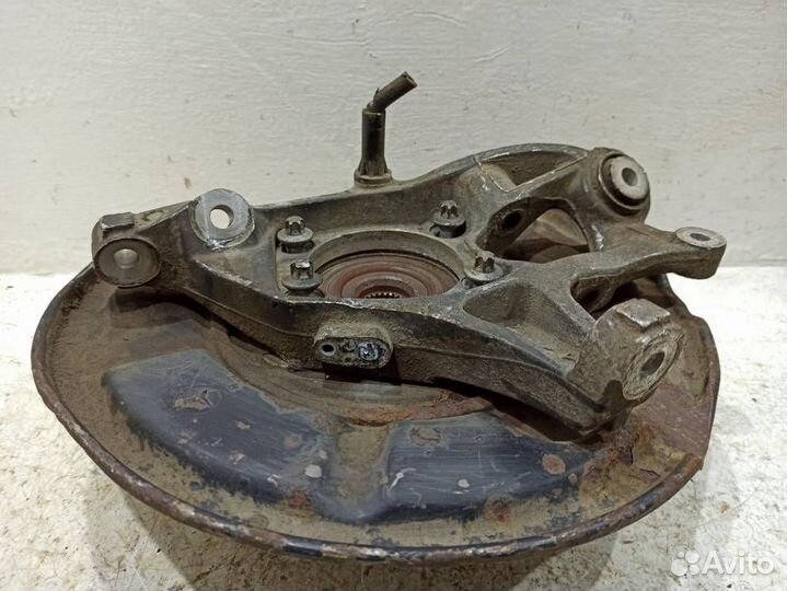 Кулак задний левый