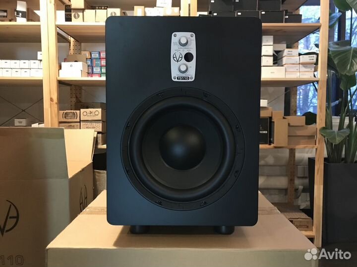 Студийный сабвуфер EVE Audio TS110