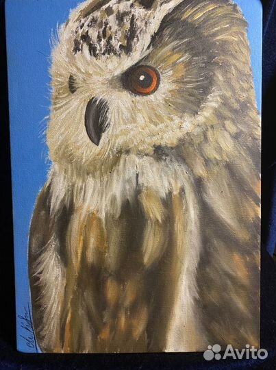 Сова Картина холст