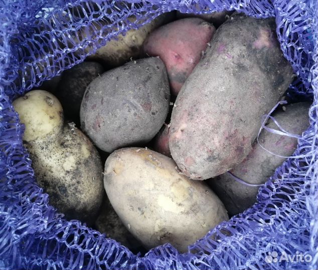 Картофель деревенский крупный