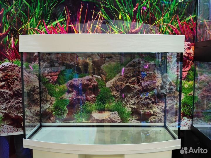 Аквариумы от 60 л и более