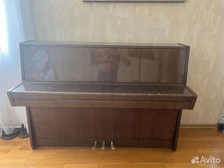 Фортепиано Пианино Petrof