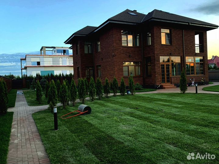 Рулонный газон из питомника