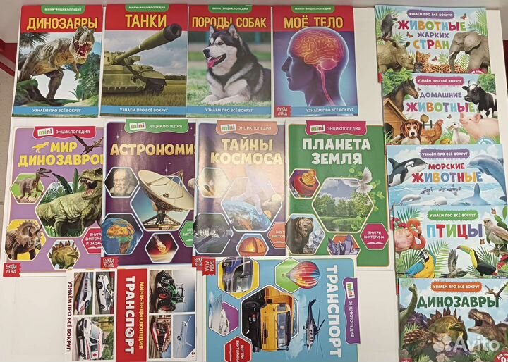 Мини энциклопедия, новая