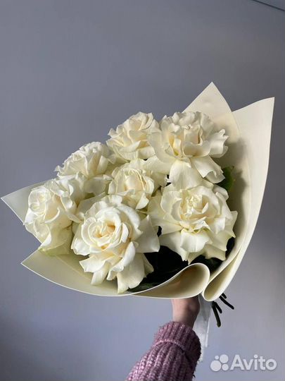 Роза Ажурная