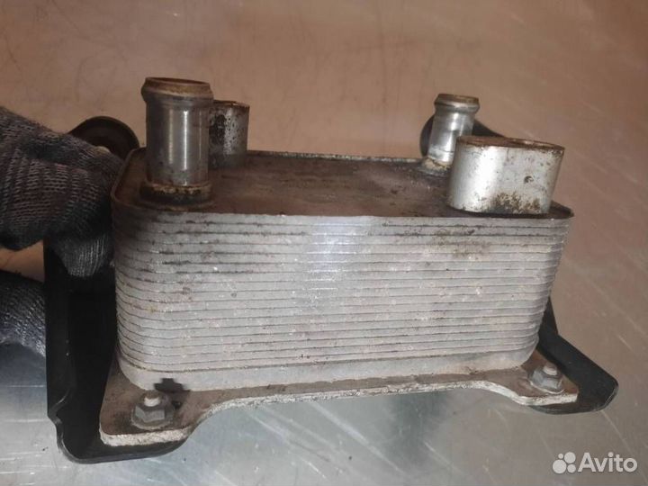 Радиатор масляный Volkswagen Passat B6 2006