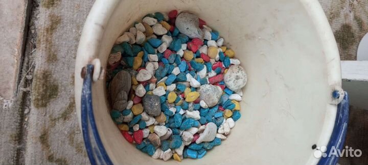 Аквариум со всем необходимым