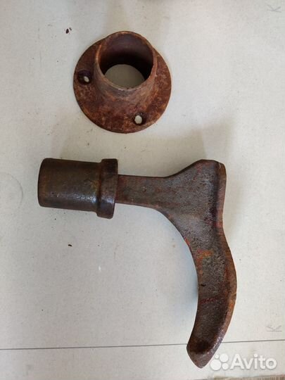 Лапа башмачника (сапожника)