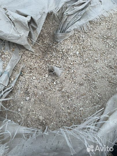 Ракушка для птиц кормовая