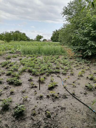 Дом 65 м² на участке 10 сот.