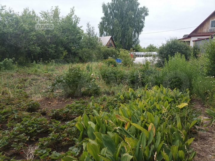 Участок 4 сот. (СНТ, ДНП)