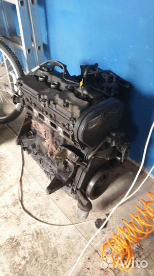 Блок двигателя 2,4 EDZ