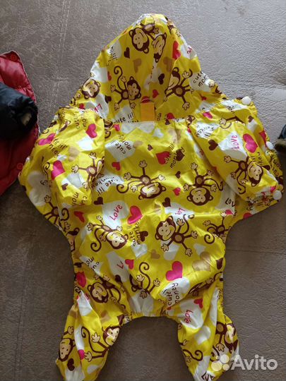 Одежда для собак мелких пород