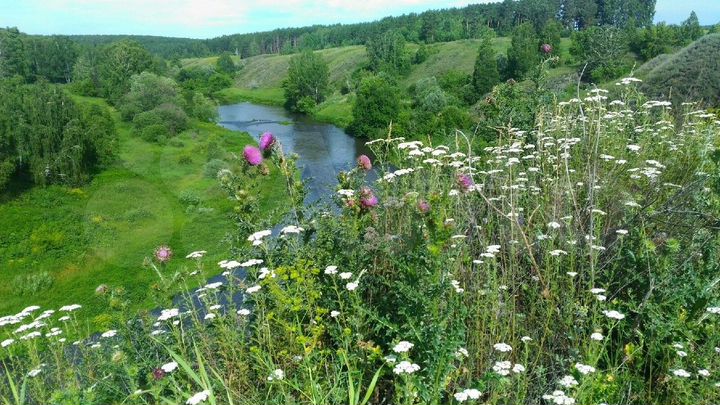 Участок 6 сот. (ИЖС)