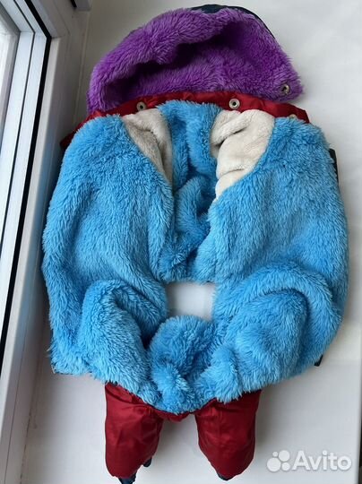 Одежда для собак мелких пород