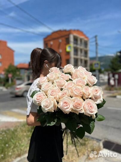Высокие розы