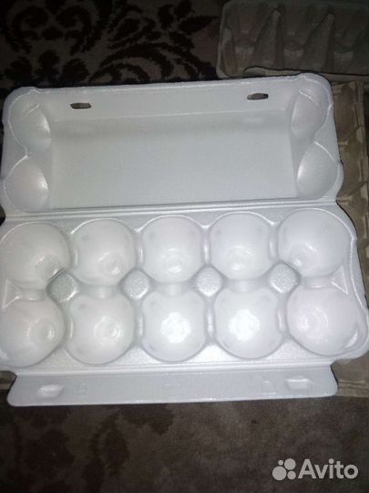 Ячейки для яиц в идеальном состоянии