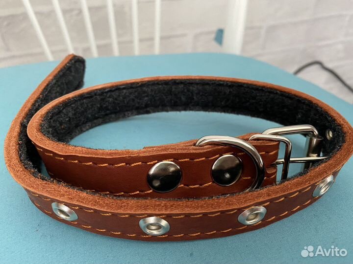 Ошейник для собак